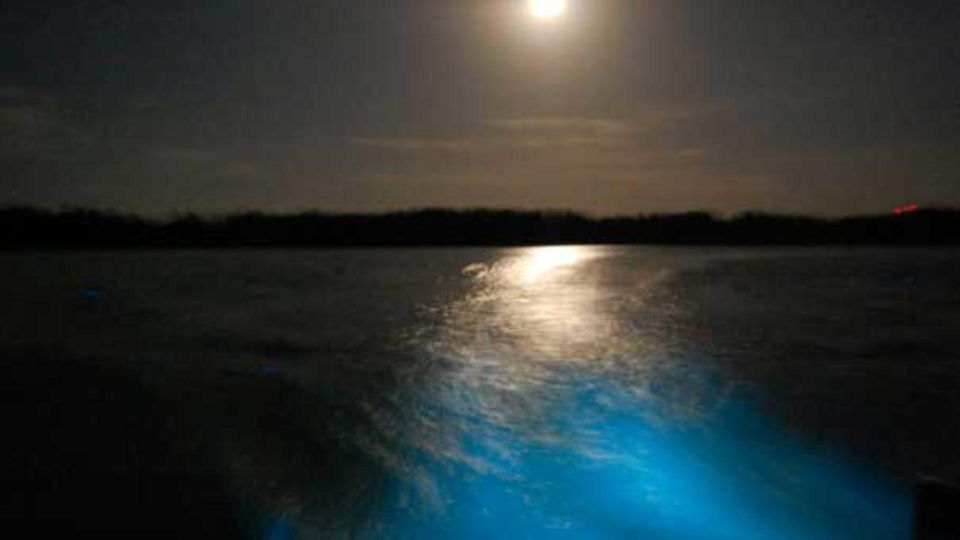 From Montego Bay: Luminous Lagoon Nighttime Boat Tour - Highlights