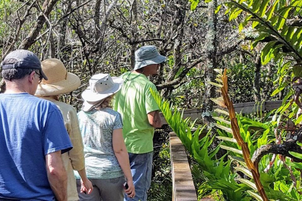 From Naples: 10,000 Islands Boat Trip and Everglades Walk - Pricing