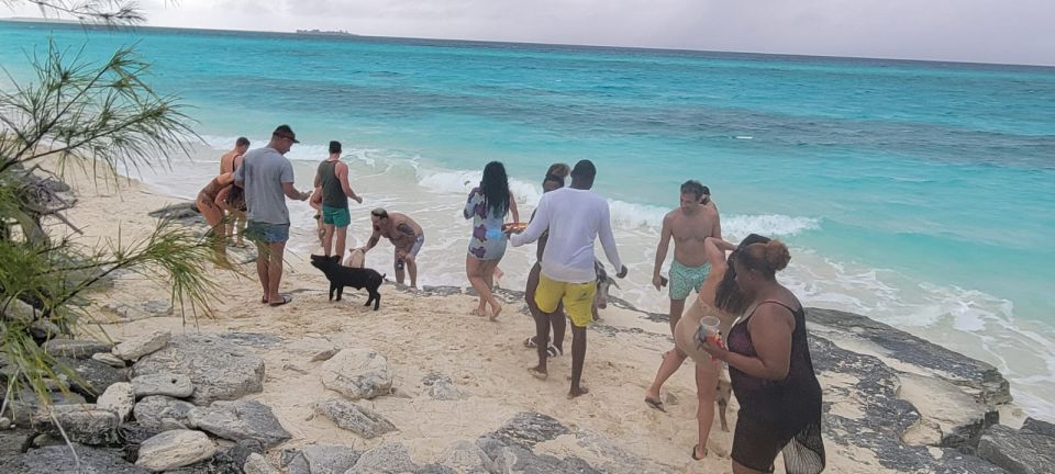 From Nassau: Exuma Iguanas, Sharks & Swimming Pigs Day Tour - Itinerary