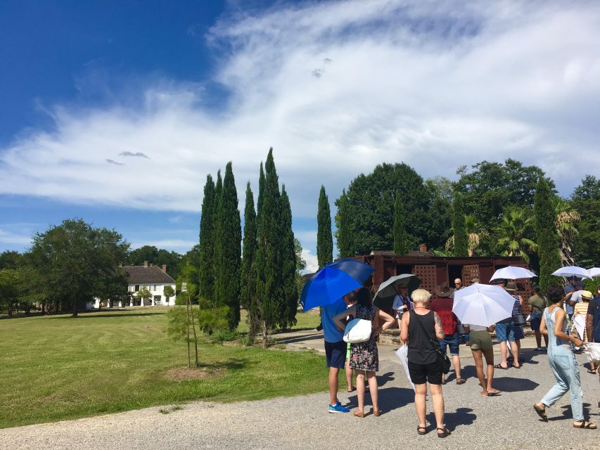 From New Orleans: Whitney and Laura Guided Plantation Tour - Activity Description