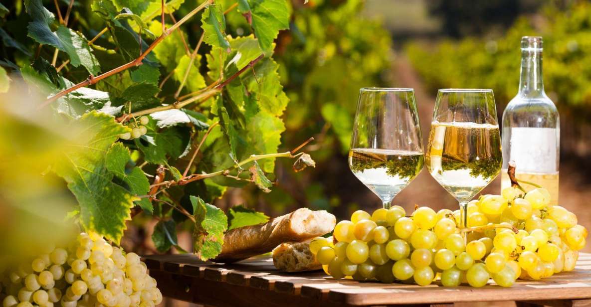 From Nice: Antibes & St Paul De Vence Tour With Wine Tasting - Tour Information