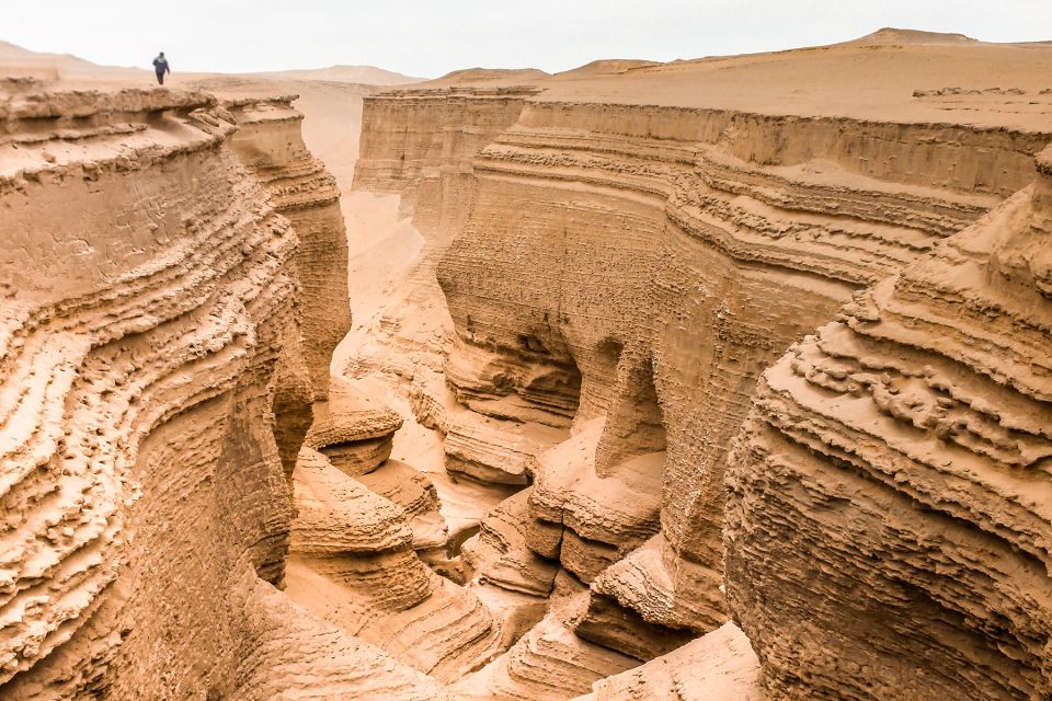 From Paracas/Ica: Canyon of the Lost Guided Day Trip - Booking Information