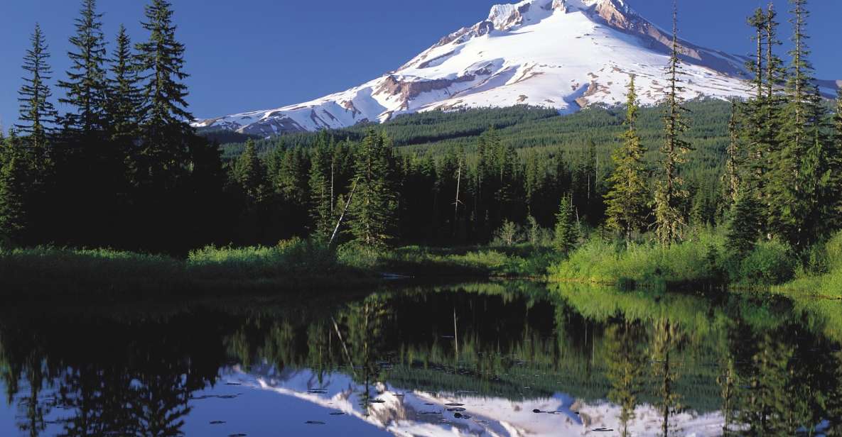 From Portland: Columbia Gorge Waterfalls and Mt. Hood Tour - Highlights