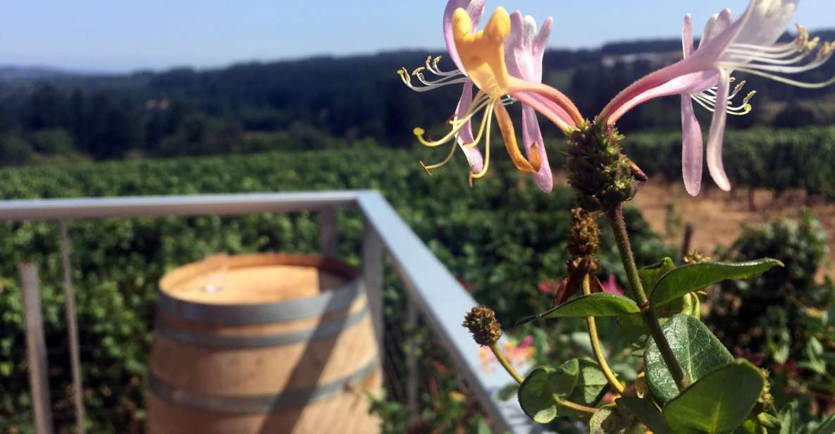 From Portland: Willamette Valley Character Wineries - Experience Highlights