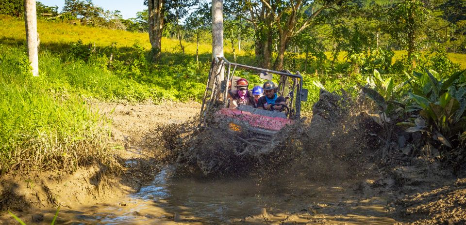 From Punta Cana: Jungle Buggy Adventure to Anamuya River - Pricing and Duration