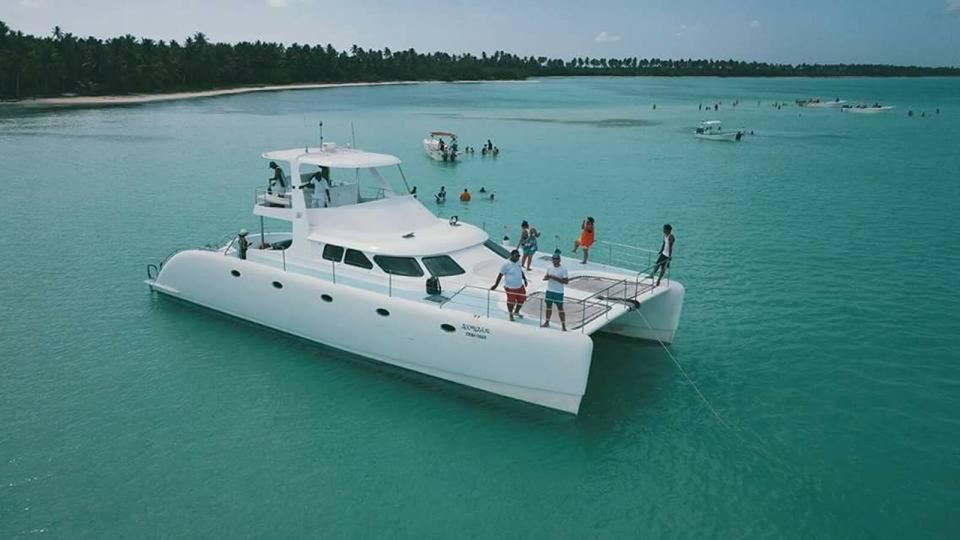 From Punta Cana: Saona Island Private Guided Catamaran Tour - Available Languages and Experience Highlights