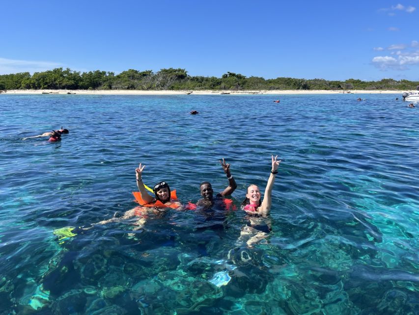 From Punta Cana: Small Group Catalina Island Snorkeling Tour - Accessibility and Inclusions