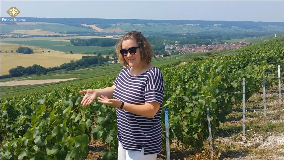 From Reims: Champagne Day Trip to Two Local Domains & Lunch - Tour Highlights