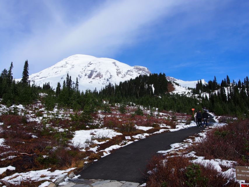From Seattle: Mount Rainier Full-Day Tour - Full Description