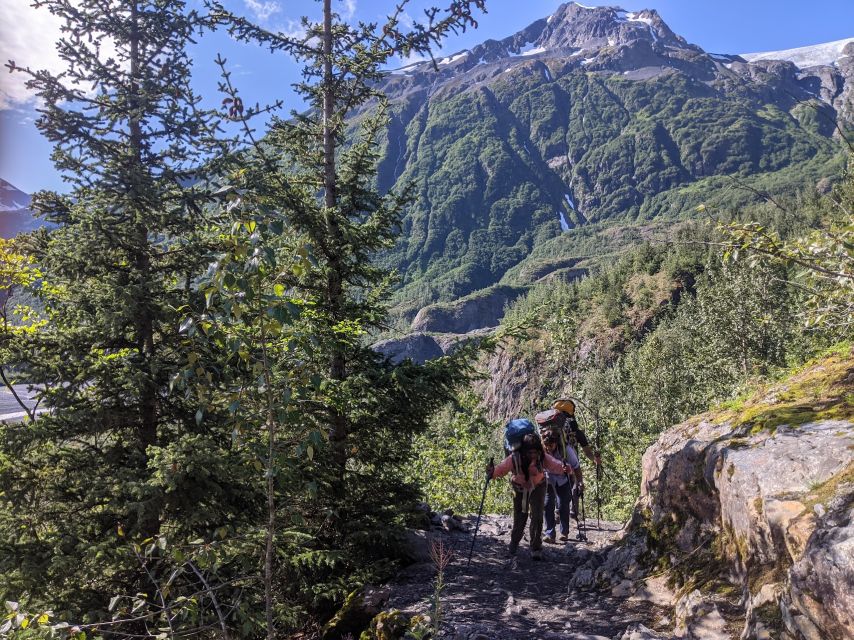 From Seward: 4-hour Wilderness Hiking Tour - Tour Inclusions