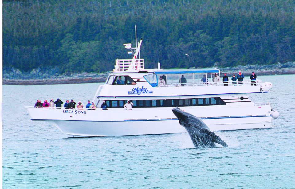 From Seward: Half-Day Resurrection Bay Wildlife Cruise Tour - Customer Reviews