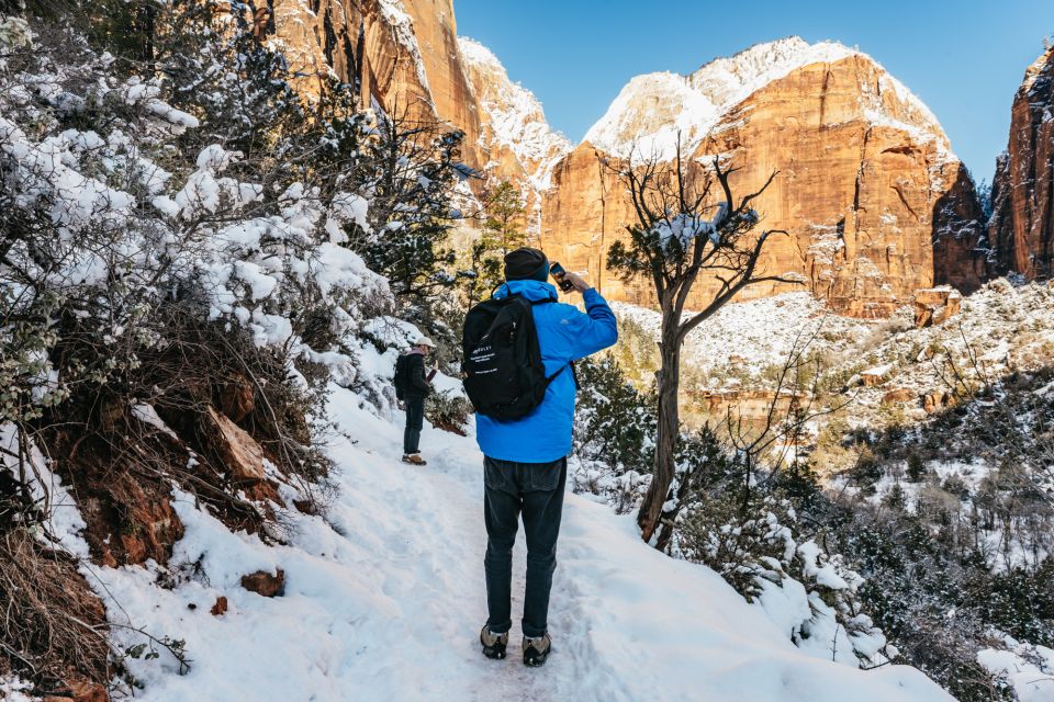 From Springdale: 4-hour Zion Canyon Scenic Hiking Tour - Experience Highlights and Customization