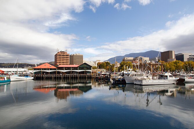 Full Day Private Shore Tour in Hobart From Hobart Cruise Port - Tour Itinerary and Duration