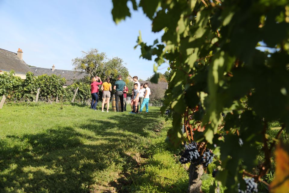 Full Day Wine Tour With Lunch at the Winery : Vouvray&Chinon - Booking Information