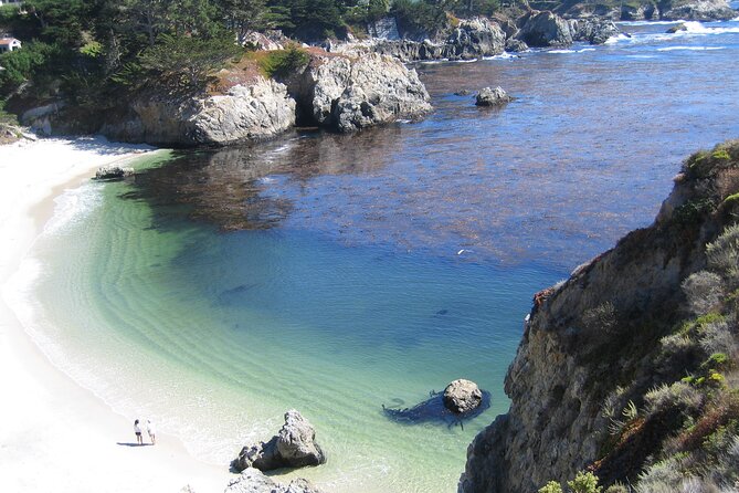 Guided 2-Hour Point Lobos Nature Walk - Meeting and Pickup Information