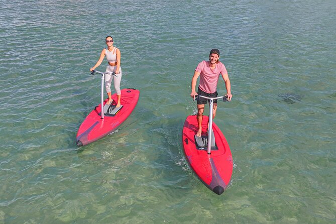 Guided Step-Up Paddle Board Tour of Narrabeen Lagoon - Safety Precautions