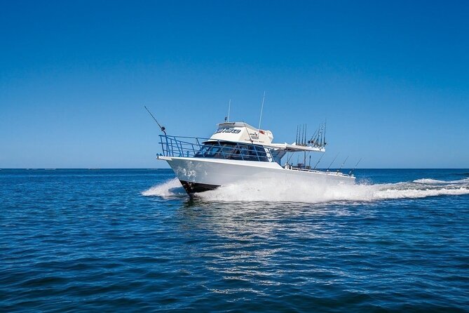 Half-Day Deep Sea Fishing in Wollongong - Safety Measures and Guidelines