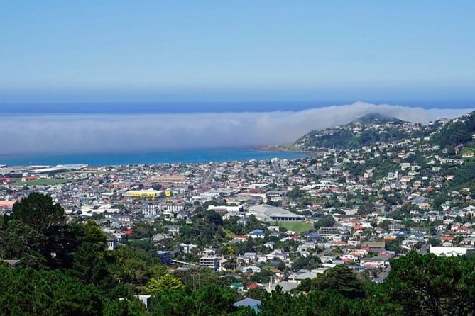 Hobart Shore Excursion: Small Group Mount Wellington 3-Hour Bike Tour - Inclusions and Amenities