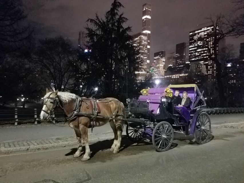 Horse and Carriage Rides Central Park - Booking Information
