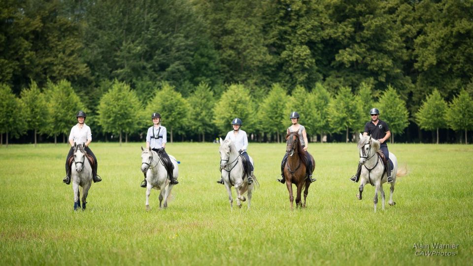 Horse Ride Versailles Intimacy & Vip - Booking Details