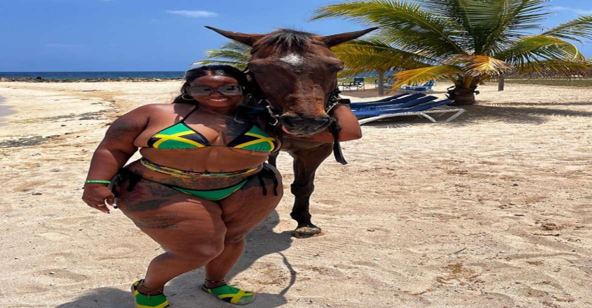 Horseback Ride N Swim in Montego Bay - Pricing Details