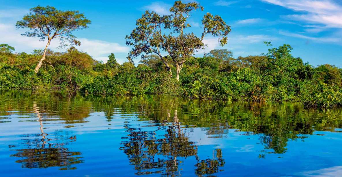 Iquitos: Amazon River Full Day Guided Tour - Itinerary