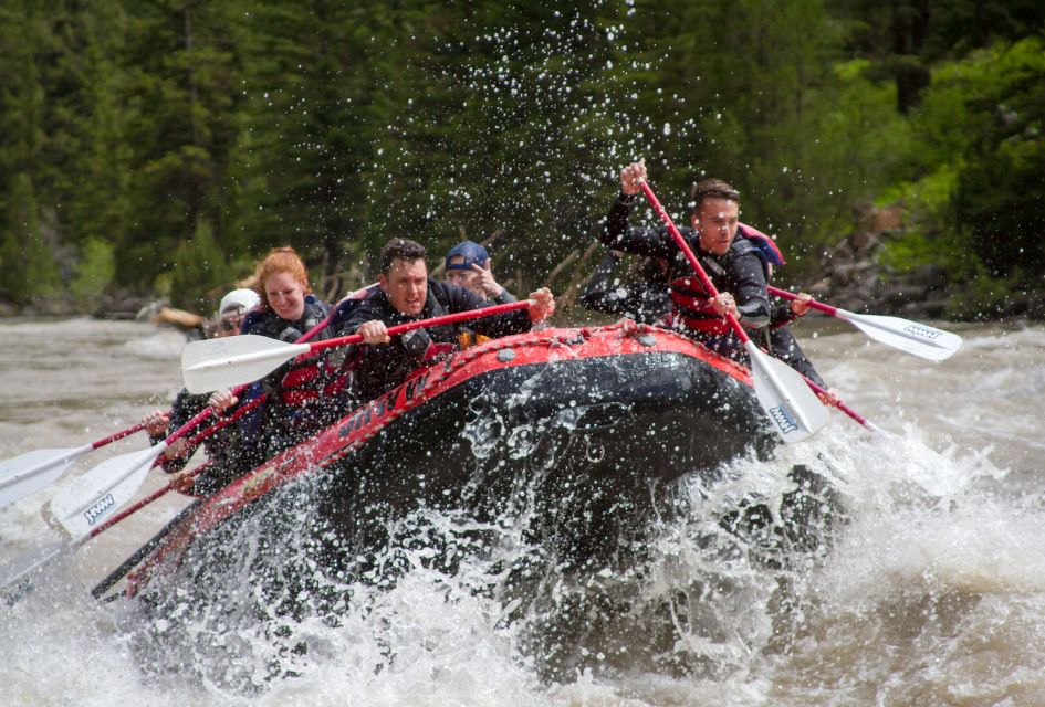Jackson: Snake River Class 2-3 Whitewater Rafting Adventure - Highlights