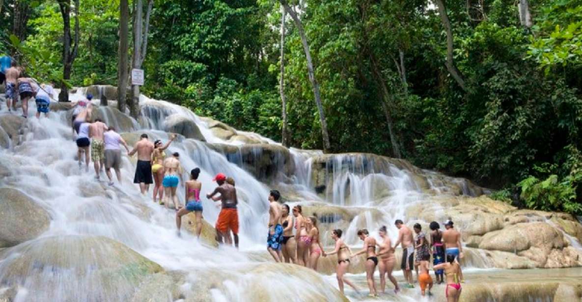 Jamaica: Dunn's River Falls and Jungle River Tubing Tour - Tour Experience