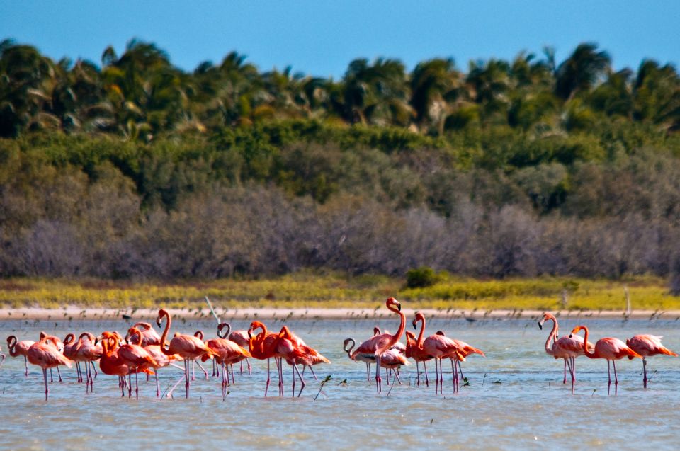 Jaragua National Park: Explore Laguna De Oviedo - Pickup Locations