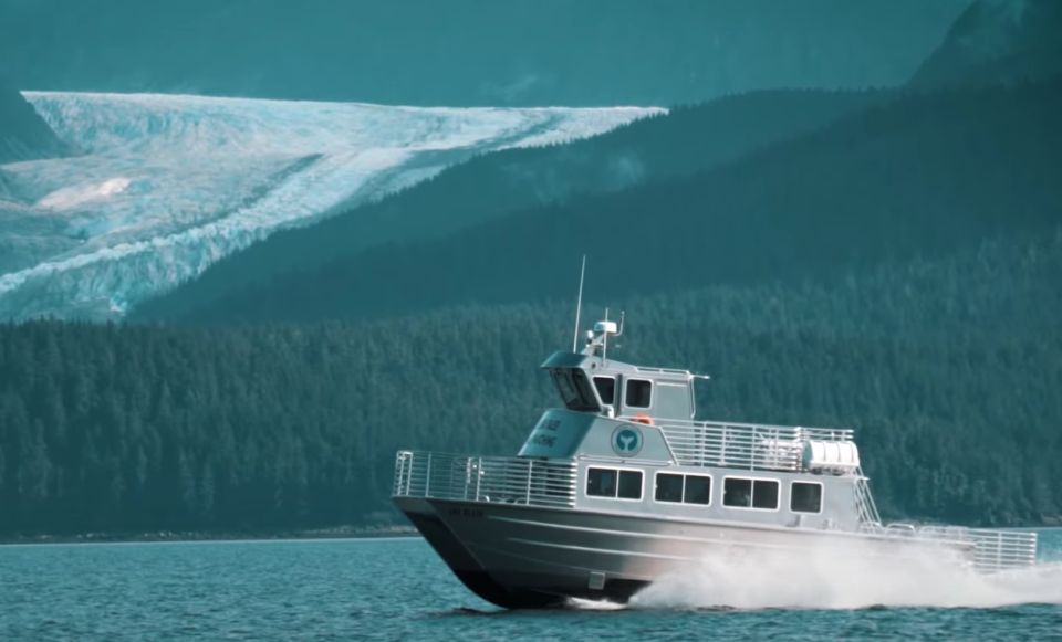 Juneau: Whale Watching and Wildlife Cruise With Local Guide - Experience Highlights on the Water