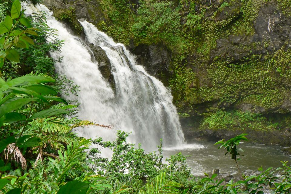 Kahului: Guided Rainforest and Waterfall Walk - Experience