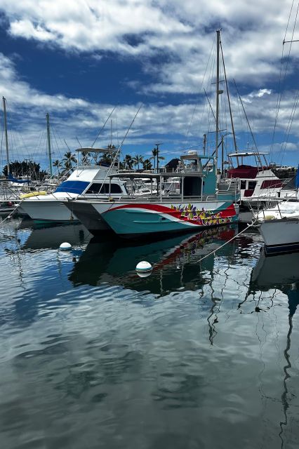 Kailua-Kona: Captain Cook Reef Catamaran Day Trip With Lunch - Experience Highlights