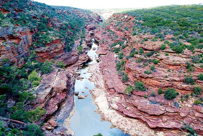 Kalbarri Outback River & Gorges - Ground & Air Tour - Booking Policies