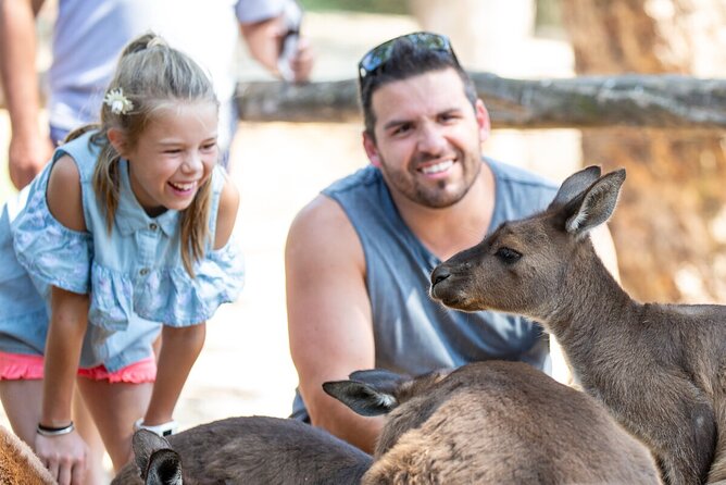 Kangaroo Experience at Healesville Sanctuary - Excl. Entry - Booking Confirmation