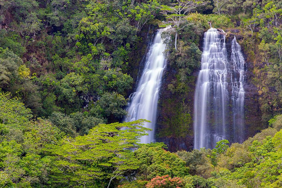 Kauai: Scenic Movie Locations Bus Tour - Tour Features