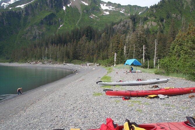 Kayak Paddle on Resurrection Bay - What to Expect