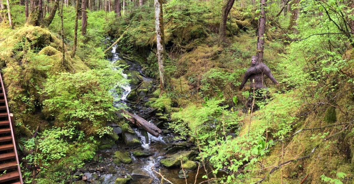 Ketchikan: Tongass Forest Alaska Bigfoot ATV Ride and Hike - Adventure Itinerary