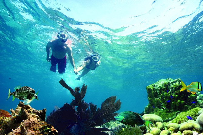 Key West Coral Reef Snorkel Adventure With Mimosas or Margaritas - Tour Itinerary