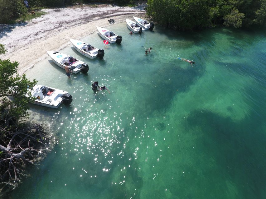 Key West: Eco Safari Tour With Snorkeling - Activity Details