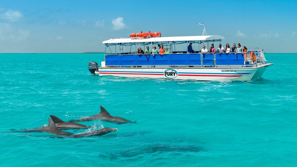 Key West: Search for Dolphins on a Cruise With Snorkeling - Inclusions