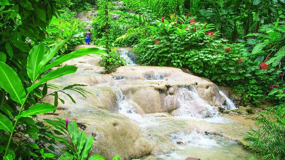 Konoko Falls and Park With Mini Zoo Private Tour - Highlights