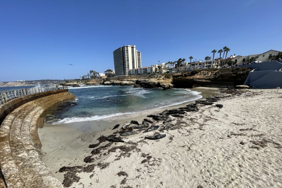 La Jolla: 2-Hour Guided Segway Tour - Live Tour Guide and Ticket Confirmation