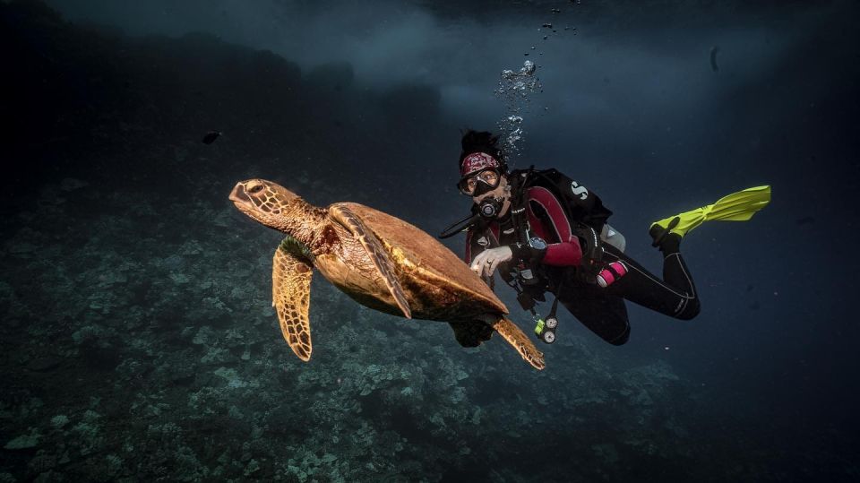 Lahaina: Discover Scuba Diving Class - Customer Reviews