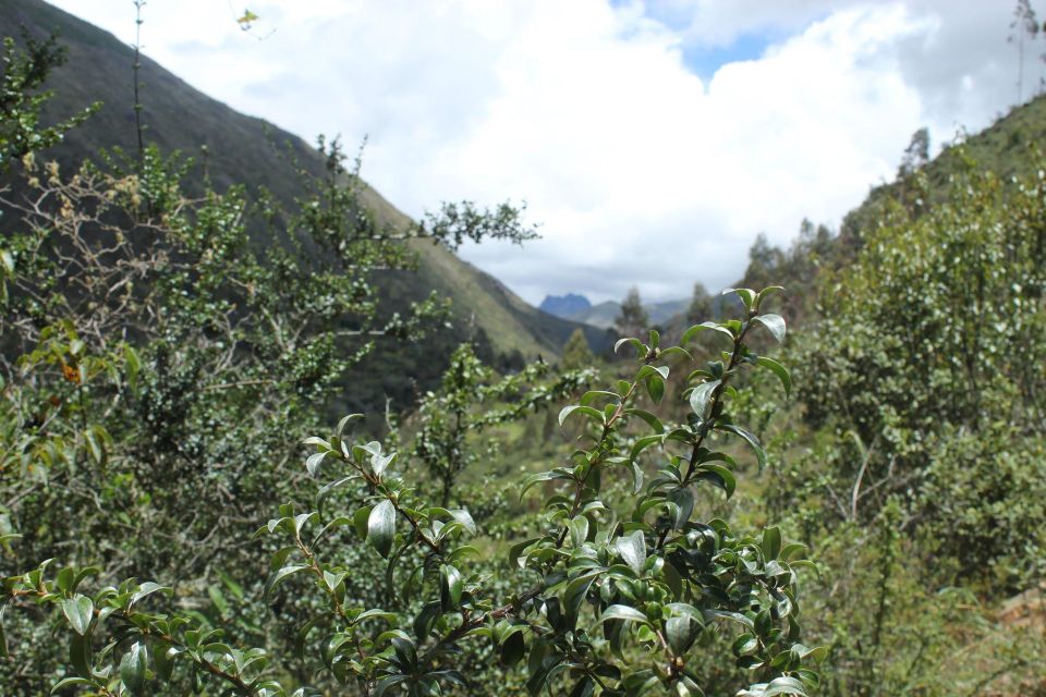 LARES TREK 4D/3N - Trip Inclusions