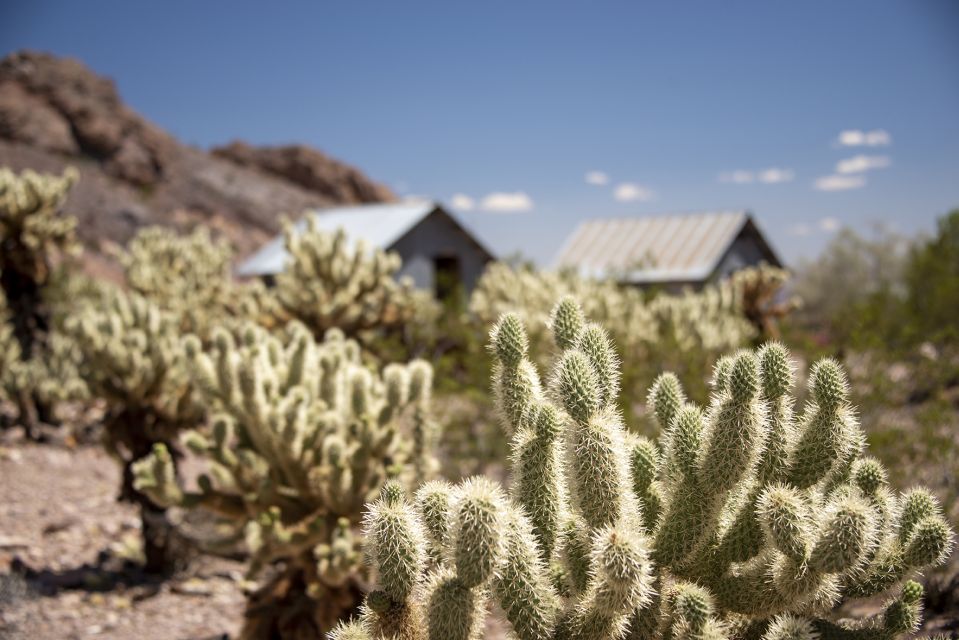 Las Vegas: Eldorado Canyon Gold Mine Tour - Experience Highlights