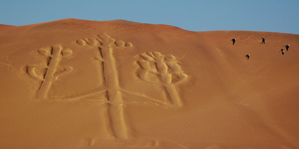 Lima: Ballestas Islands, Winery and Nazca Lines Private Tour - Tour Experience