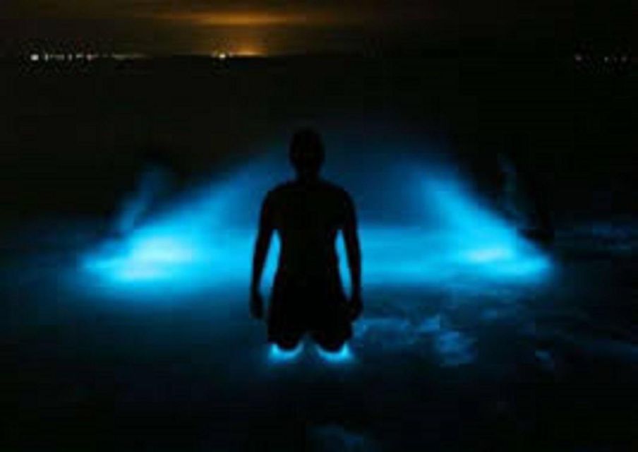 Luminous Lagoon (Glistening Waters) Private - Experience Highlights