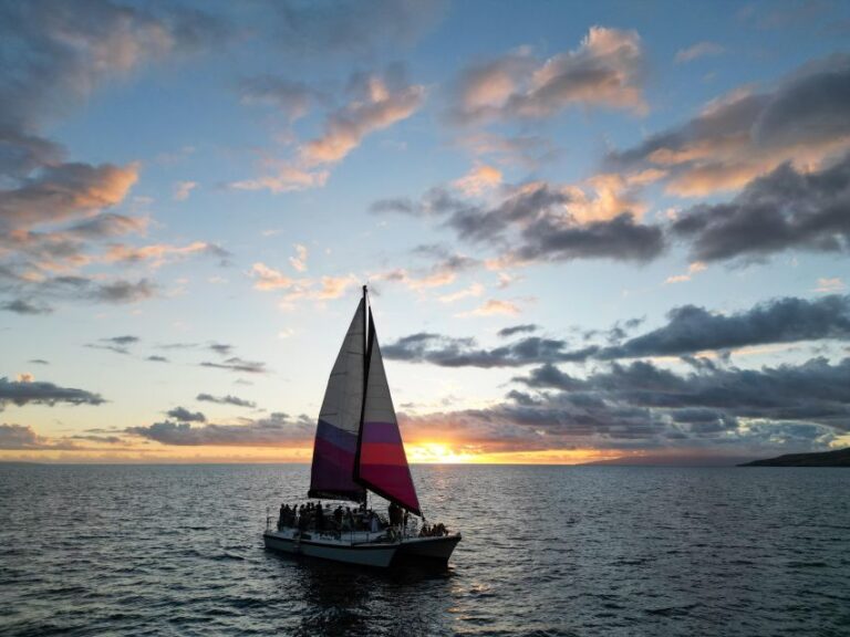 Maalaea Harbor: Sunset Sail and Whale Watching With Drinks