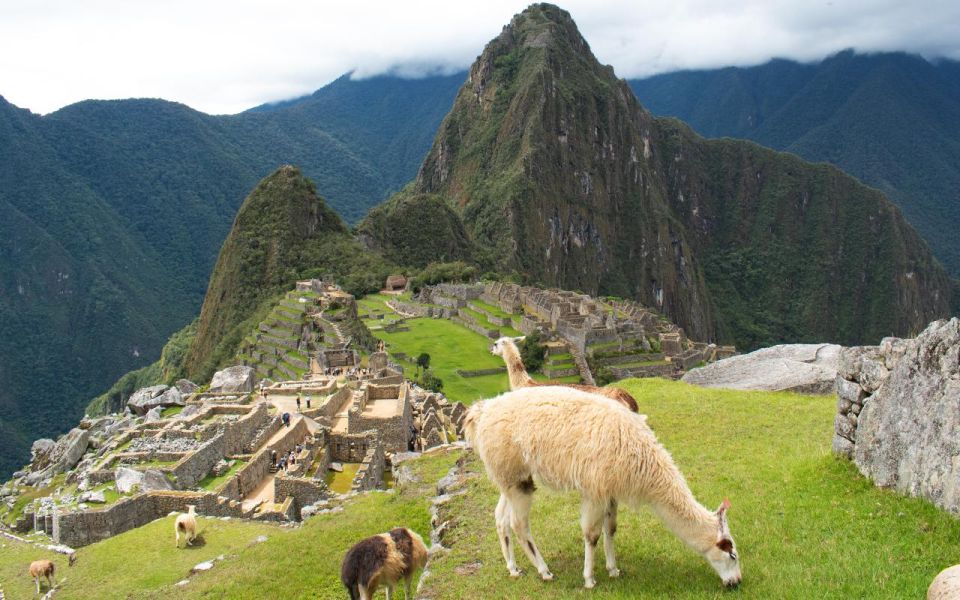 Machu Picchu: 1-Day Tour by Vistadome Observatory Train - Inclusions and Exclusions