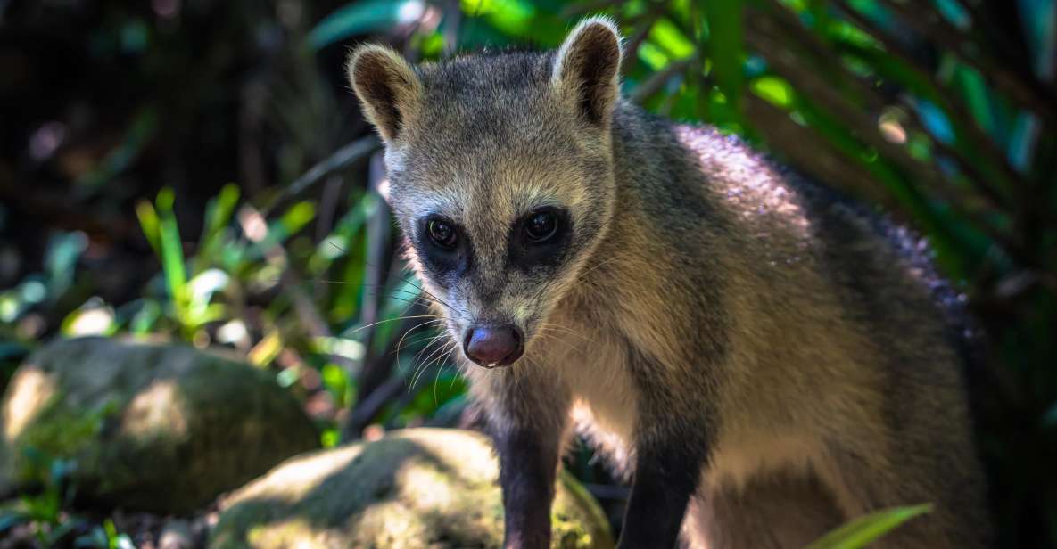 Manu National Park Tours From Cusco 5 Days - Itinerary